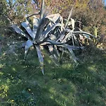 Domek alpejski La Vue