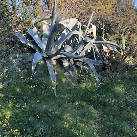 Chalet La Vue